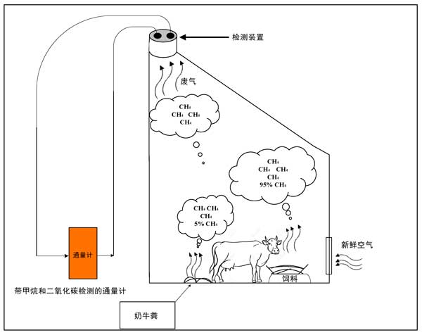 活性炭投加飼料中減少氣體排放并提高產(chǎn)量