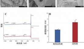 活性炭吸附回收羥基酪醇