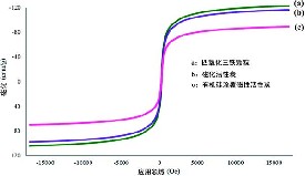 磁性活性炭涂覆有機硅去除氯和硝基酚