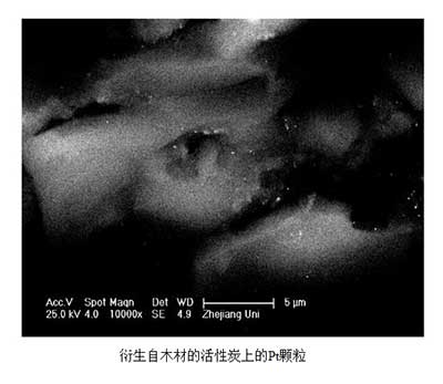 活性炭催化劑表征