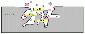 活性炭的來由